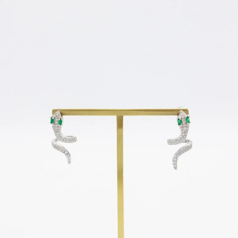 Liron Earrings Silver
