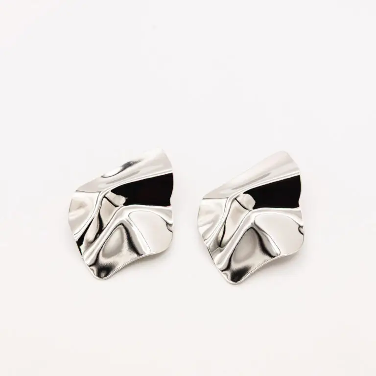Noam Earrings Silver