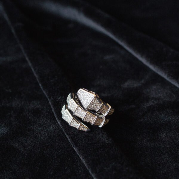 Serpentine Ring Silver